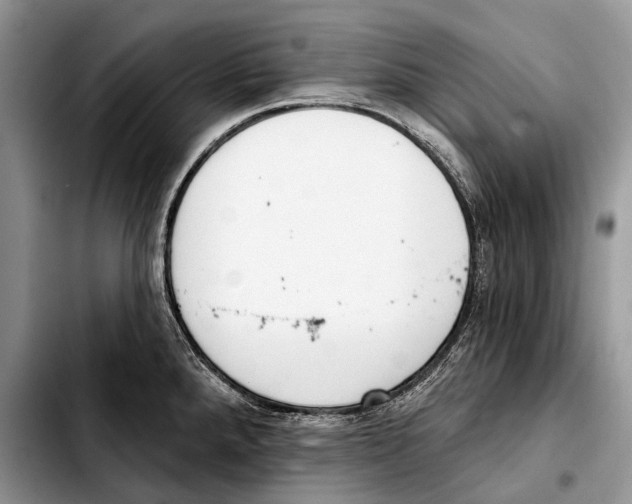 X0000103421288200810101010