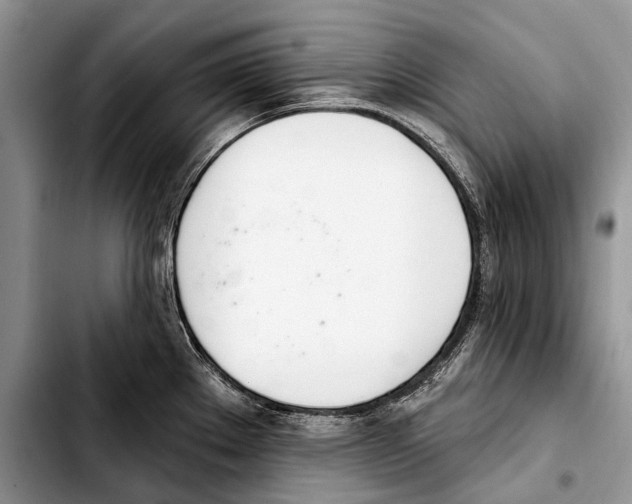 X0000103421289200810101010