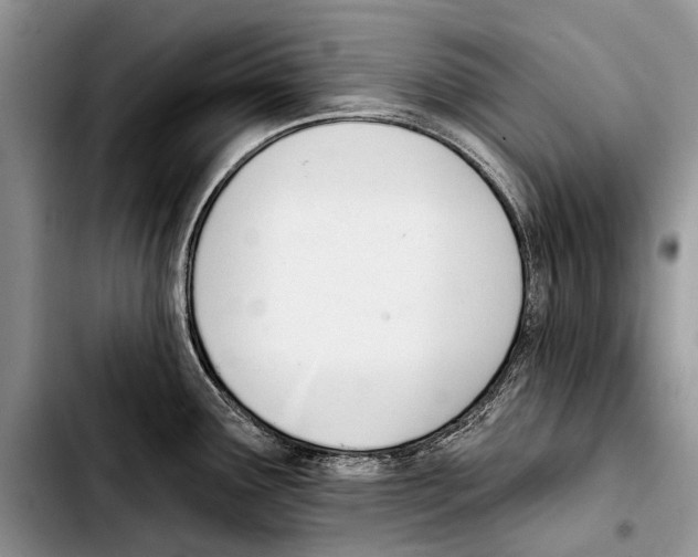 X0000103421291200810101010