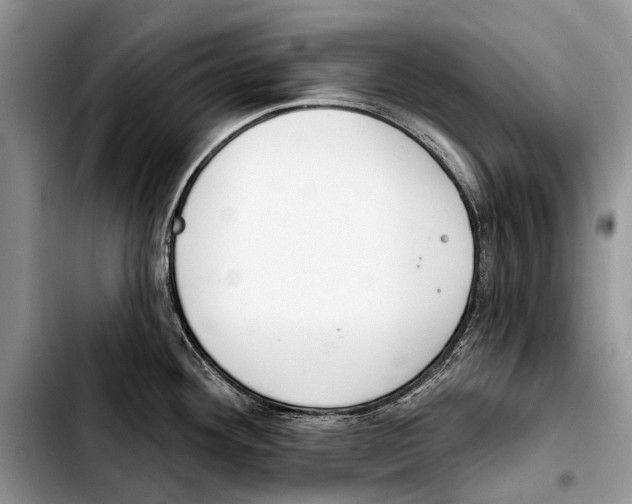 X0000103421292200810101010