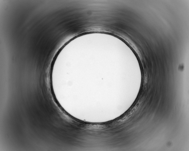 X0000103421293200810101010
