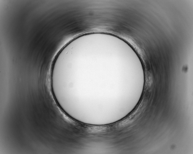 X0000103421294200810101010