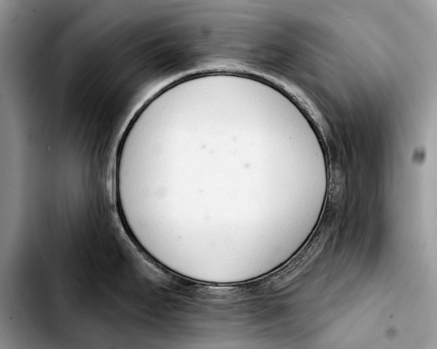 X0000103421295200810101010