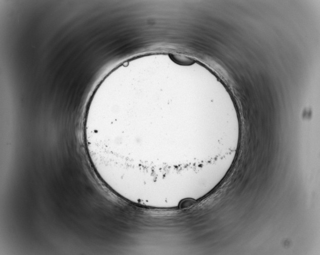 X0000103421296200810101010