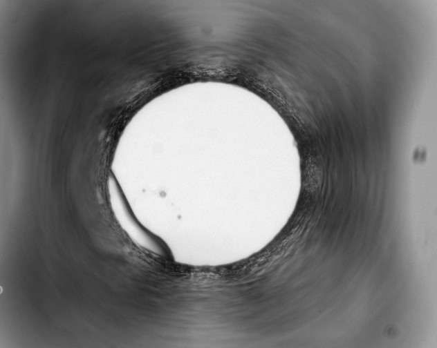 X0000103421297200810101010