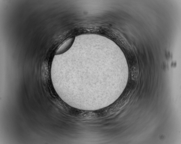 X0000103421298200810101010