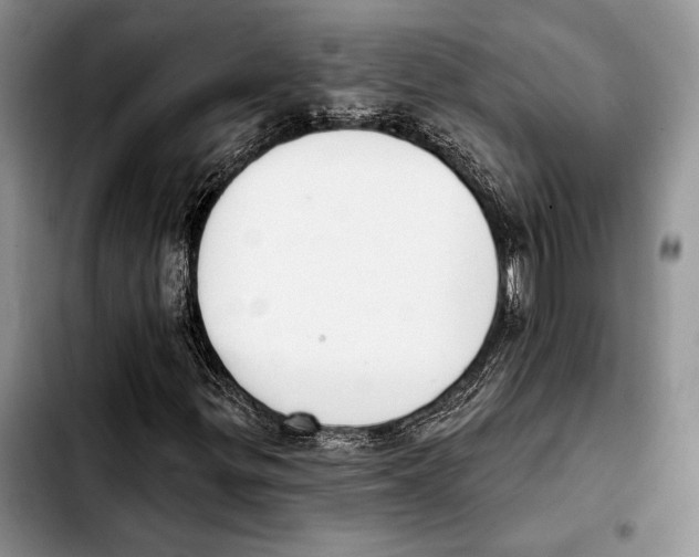 X0000103421299200810101010