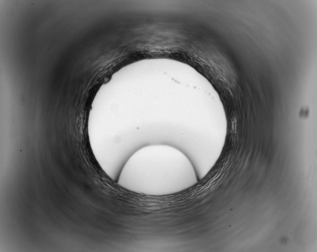 X0000103421300200810101010