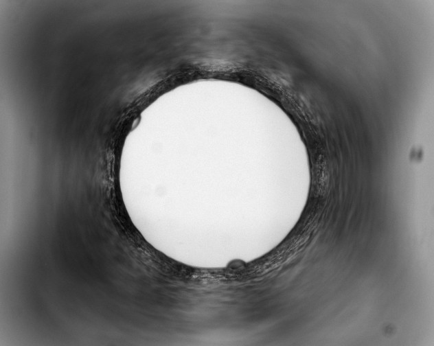 X0000103421301200810101010