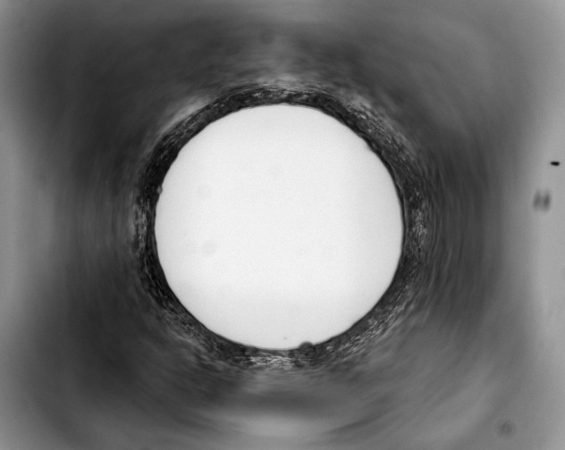 X0000103421302200810101010