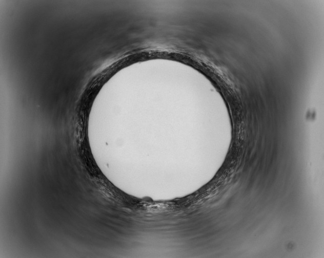 X0000103421303200810101010