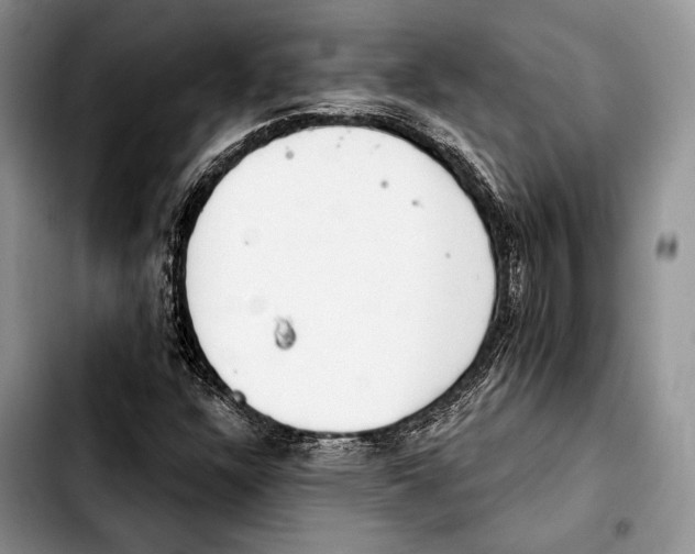 X0000103421304200810101010