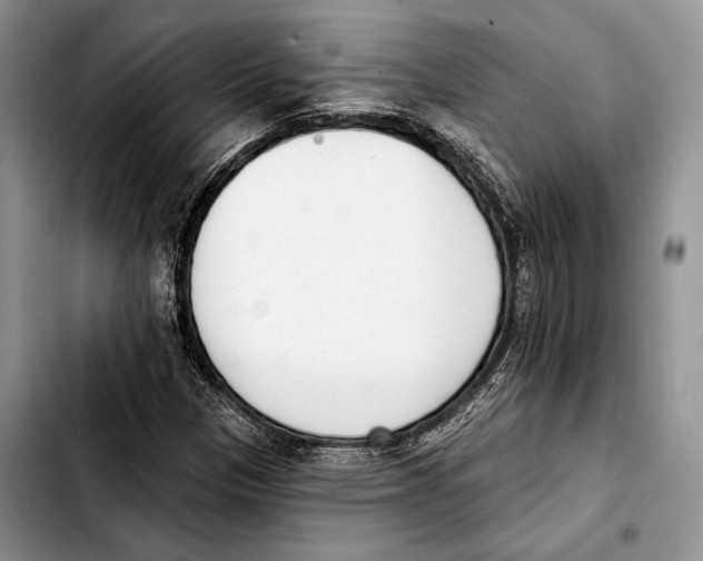 X0000103421305200810101010