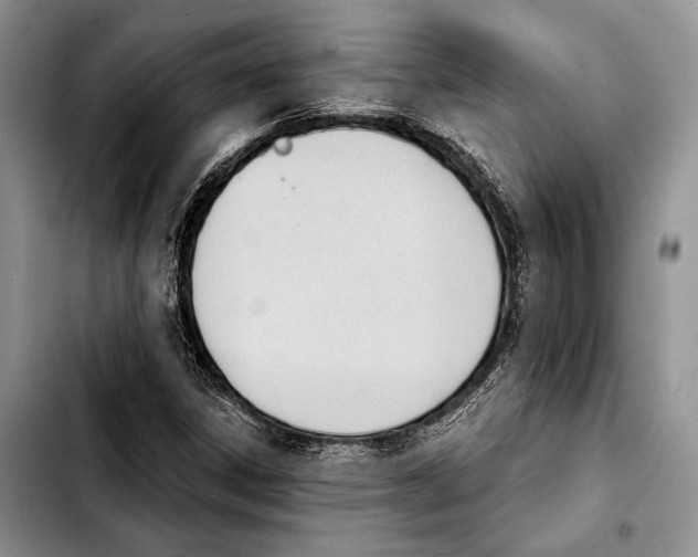 X0000103421306200810101010