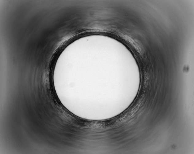 X0000103421307200810101010