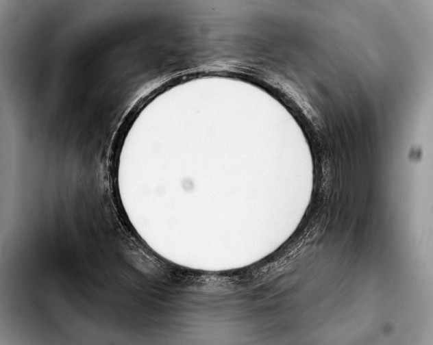 X0000103421308200810101010
