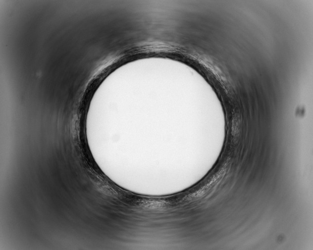 X0000103421309200810101010
