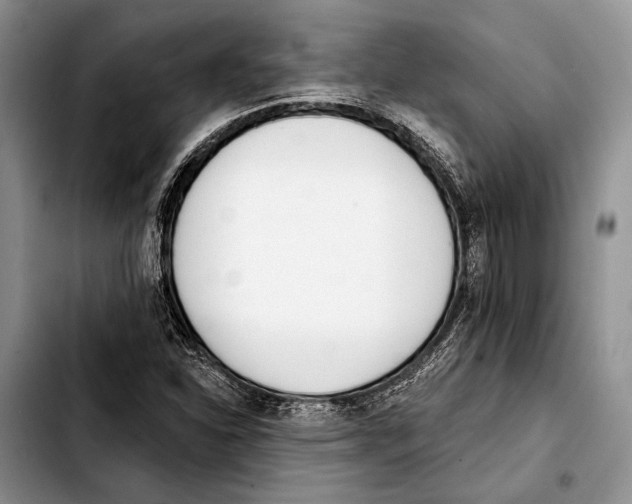 X0000103421310200810101010