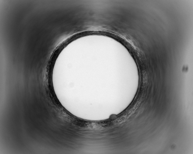 X0000103421311200810101010