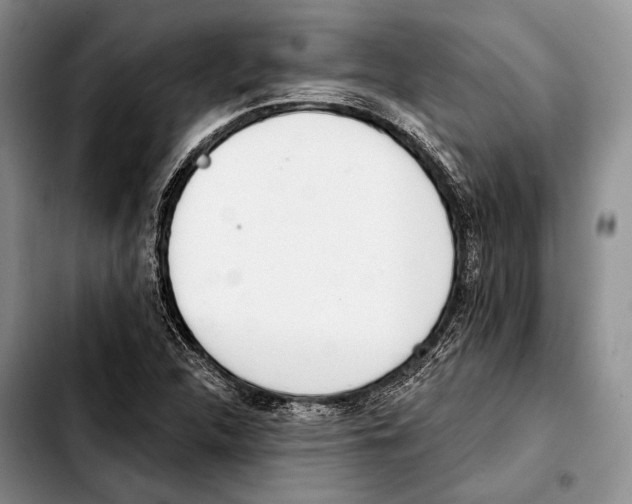 X0000103421312200810101010
