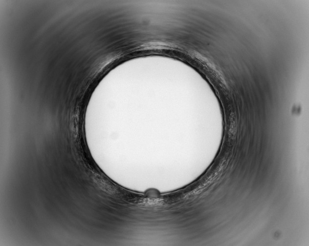 X0000103421313200810101010