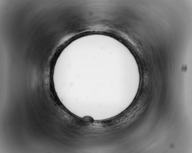 X0000103421315200810101010