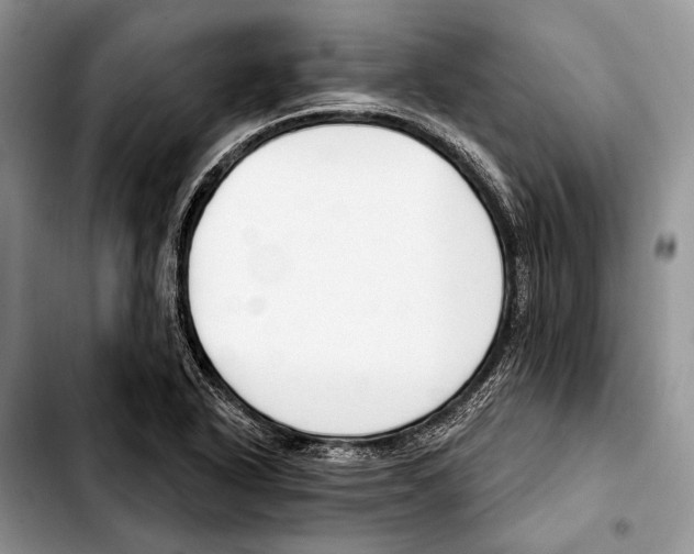 X0000103421318200810101010