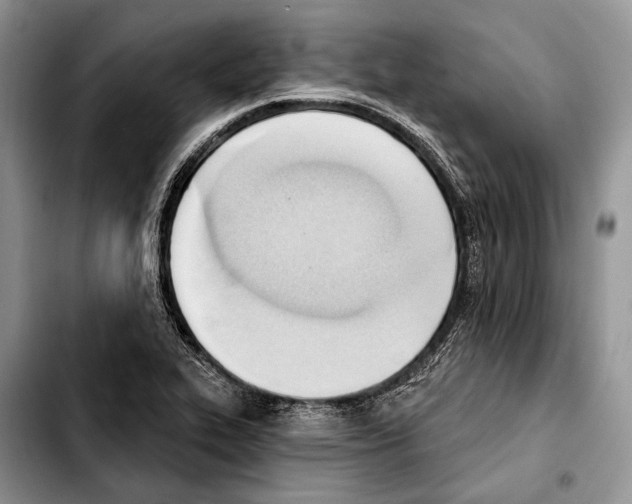X0000103421319200810101010