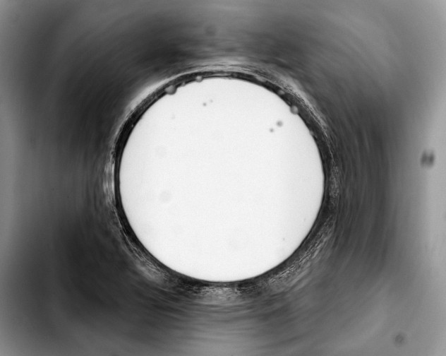 X0000103421320200810101010