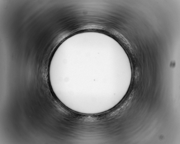 X0000103421321200810101010