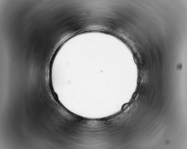 X0000103421322200810101010