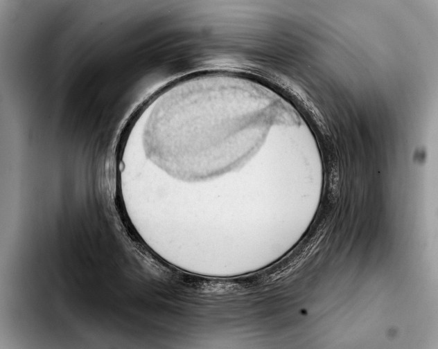 X0000103421323200810101010
