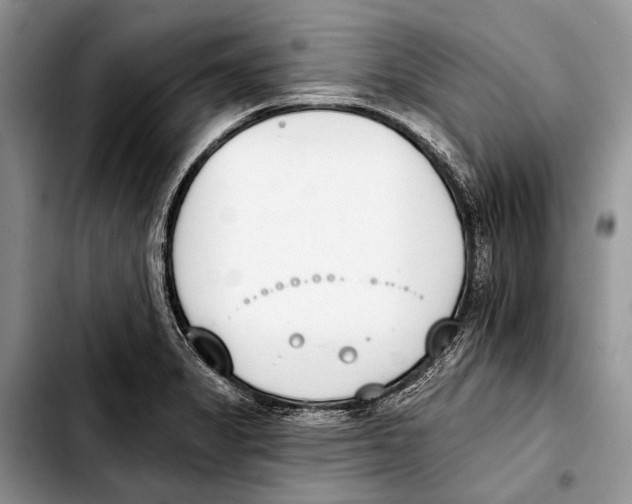 X0000103421325200810101010