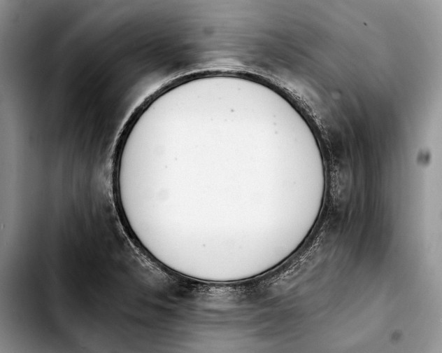 X0000103421326200810101010