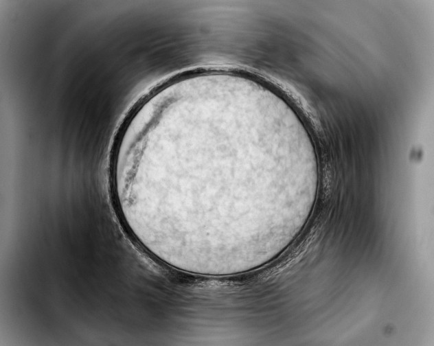 X0000103421327200810101010