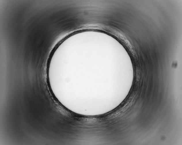 X0000103421328200810101010