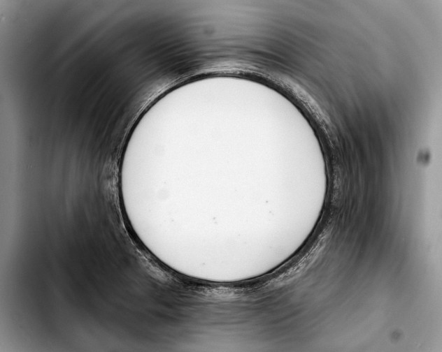 X0000103421329200810101010