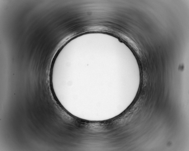 X0000103421330200810101010