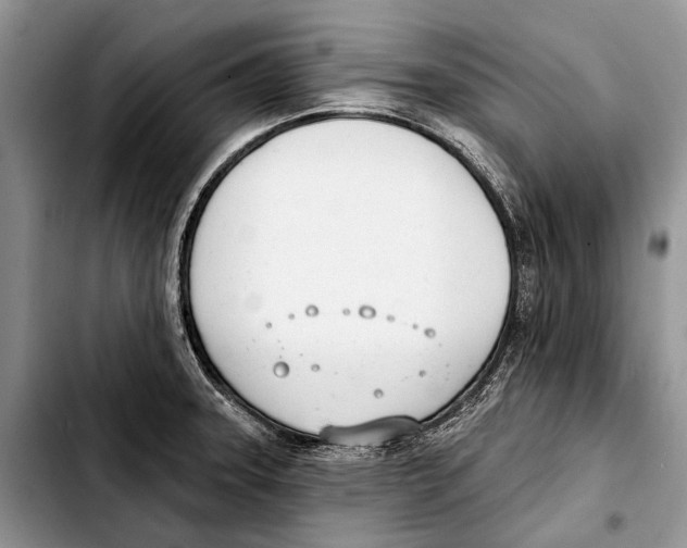 X0000103421331200810101010
