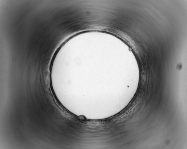 X0000103421332200810101010