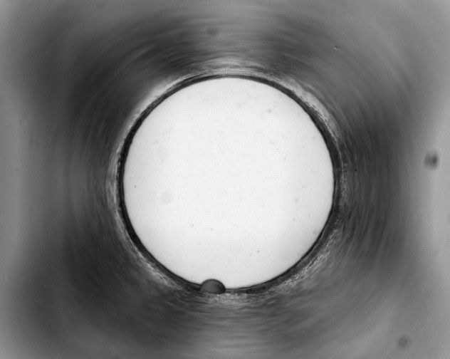 X0000103421333200810101010
