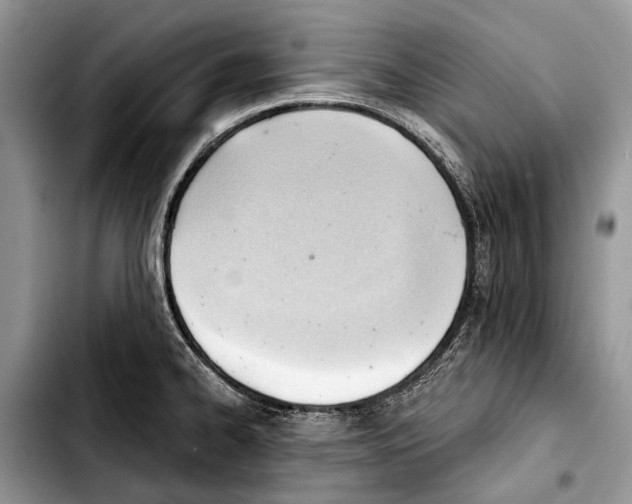 X0000103421334200810101010