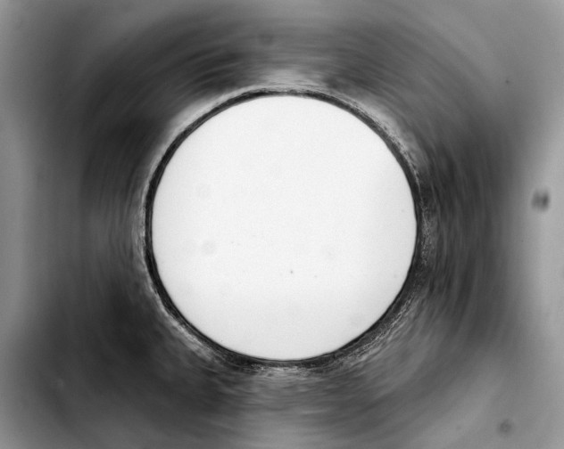 X0000103421335200810101010