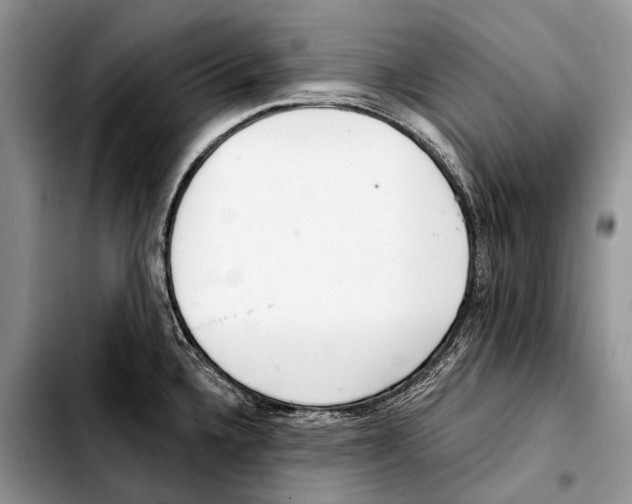 X0000103421336200810101010