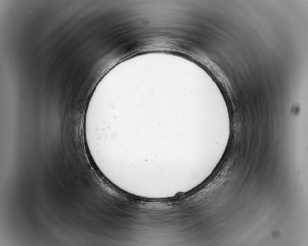 X0000103421337200810101010