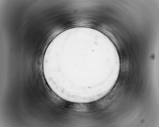 X0000103421338200810101010