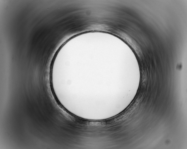 X0000103421339200810101010