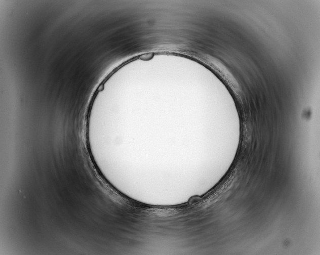 X0000103421340200810101010