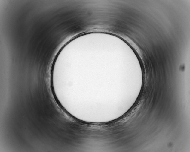 X0000103421341200810101010