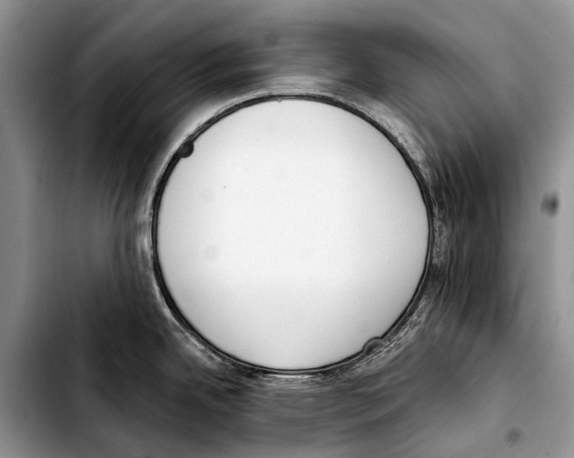 X0000103421342200810101010